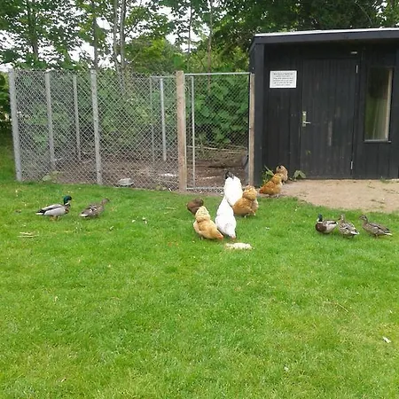 Farm Farm stay Billund