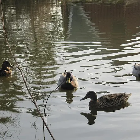 Lantgård Farm Billund
