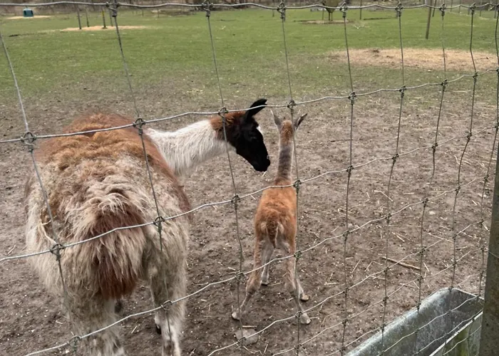 Farm Vakantieboerderij Billund