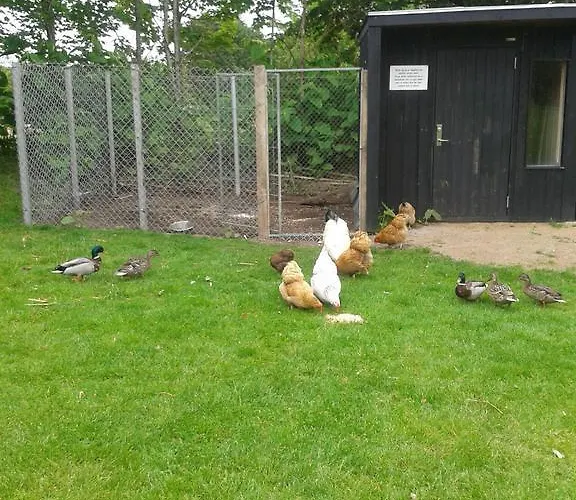 Farm Alojamento de Turismo Rural Billund