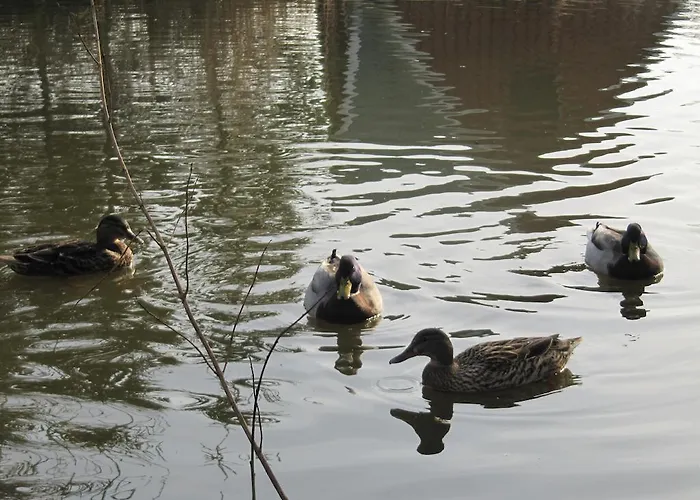 Alojamento de Turismo Rural Farm Billund