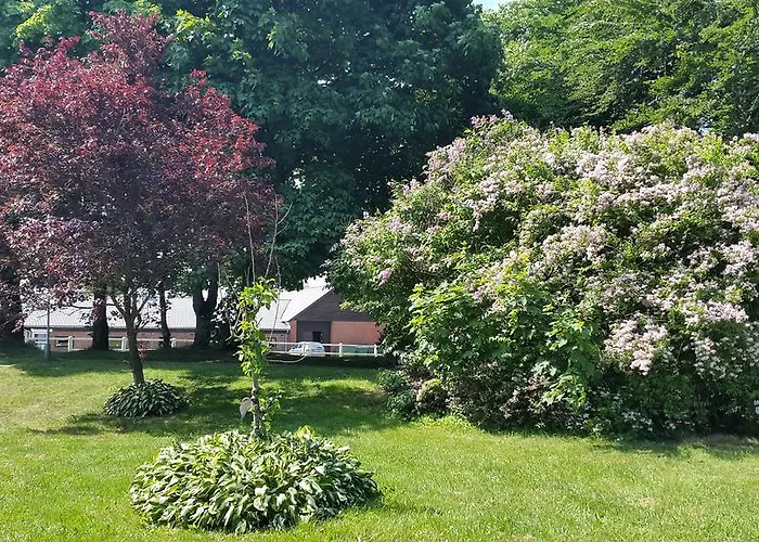 Vakantieboerderij Farm